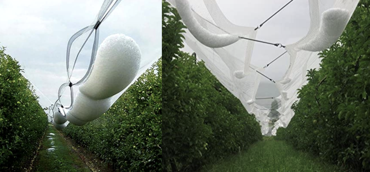 Anti Hail Net Protects Crops and Fruits From Hail